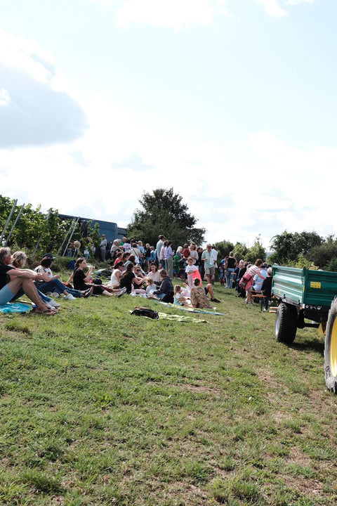 Sektfrühstück im Weinberg, So. 23.08.26