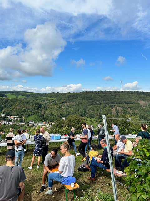 Sektfrühstück im Weinberg, So. 23.08.26