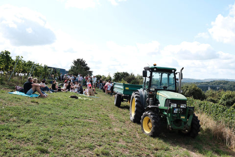 Sektfrühstück im Weinberg, So. 24.8.25