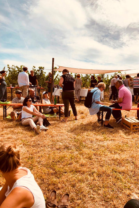 Sektfrühstück im Weinberg, So. 24.8.25