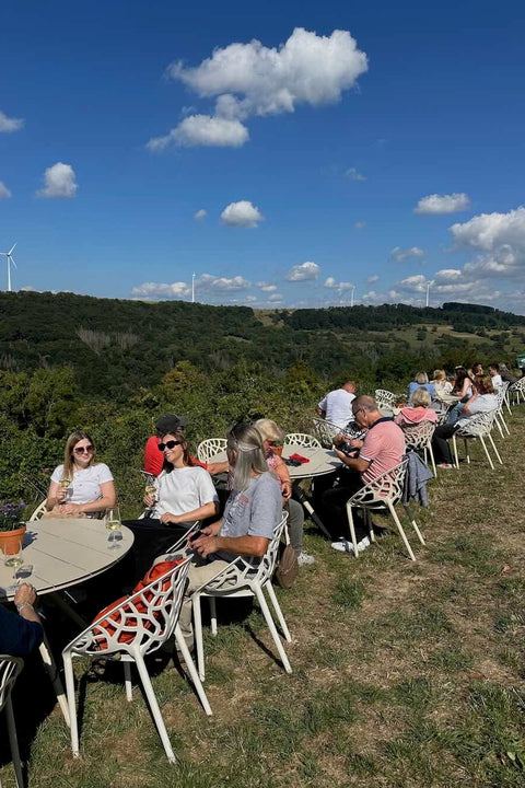 Sektfrühstück im Weinberg, So. 23.08.26