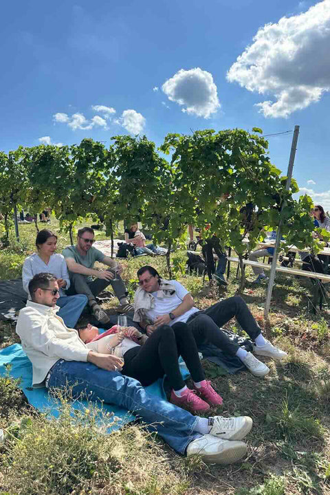 Sektfrühstück im Weinberg, So. 23.08.26